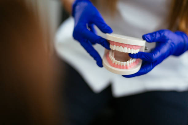 Best Dental Fillings (Composite and Amalgam)  in Federalsburg, MD